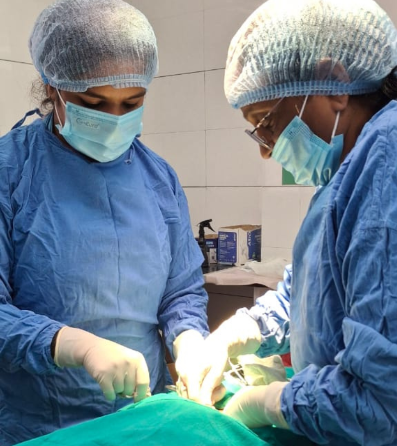 Surgery (4)